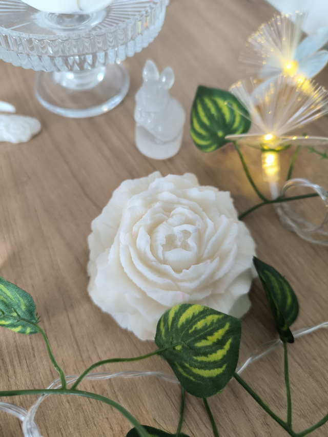 Bougie Pivoine " Bonbon Coco"