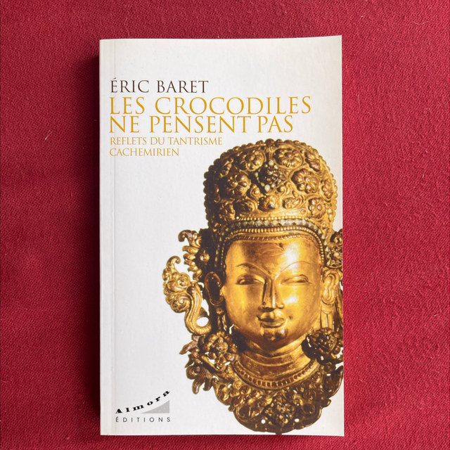 Les crocodiles de pensent pas - Éric Baret