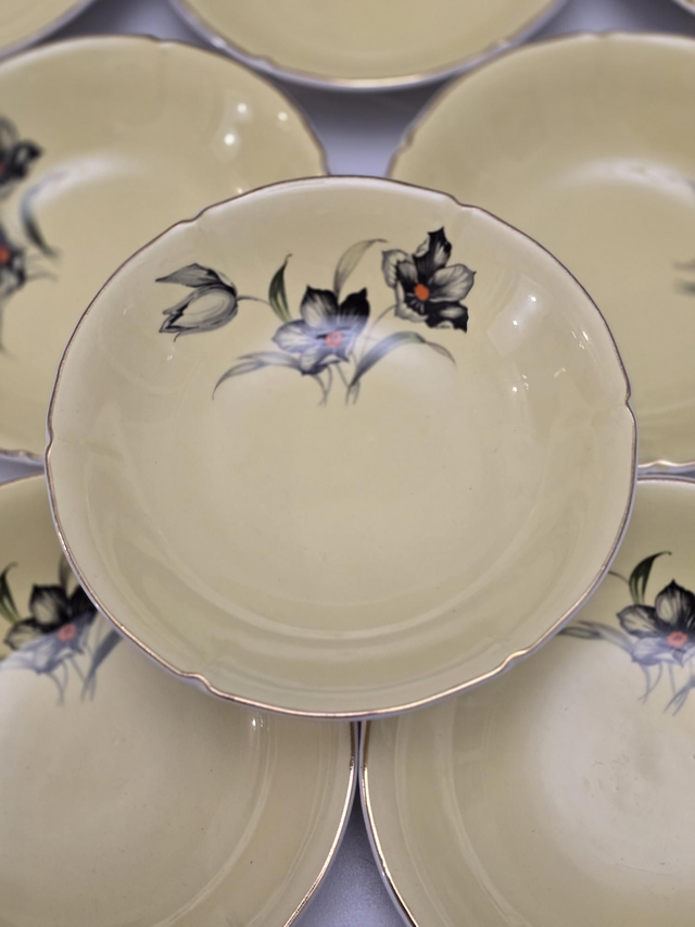 Service à salade de fruits Ceranord Saint Amand