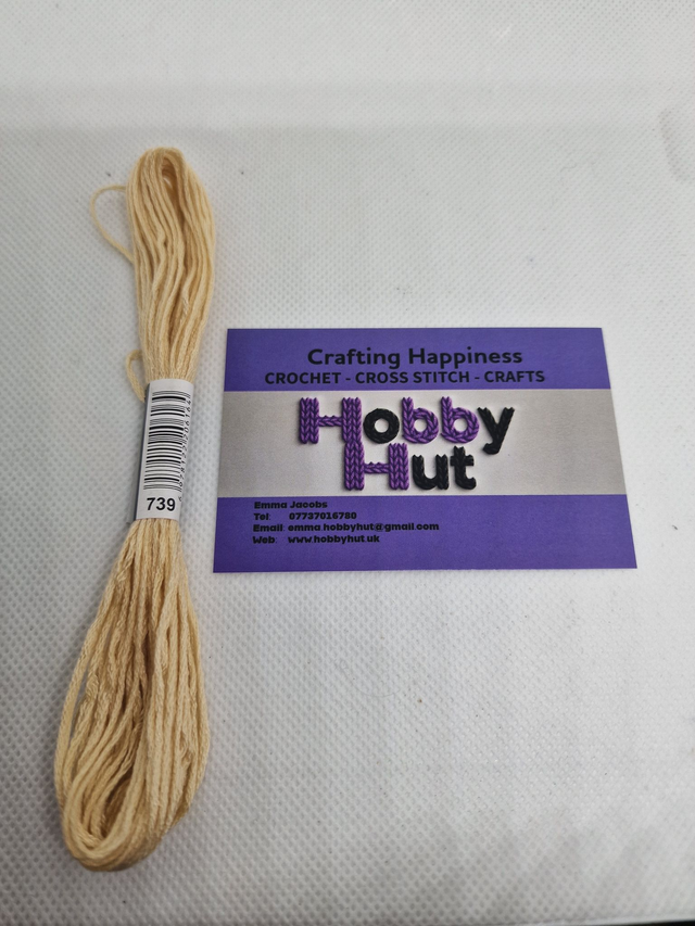 Embroidery Thread - 739