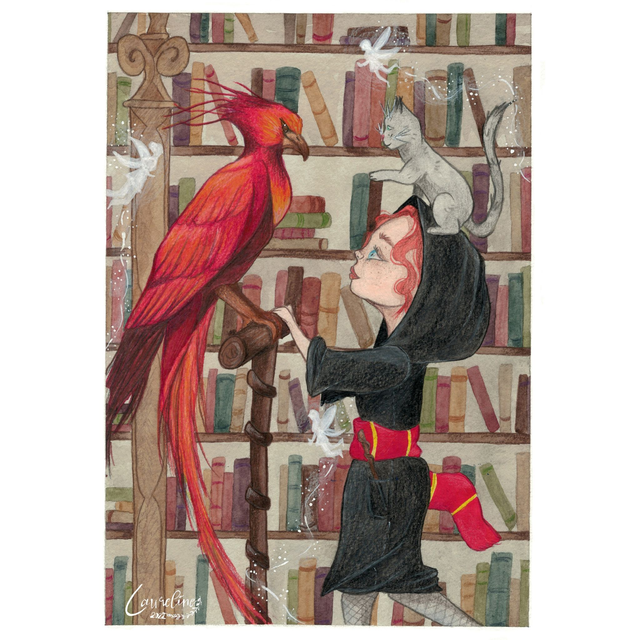 Poster Bibliothèque enchantée