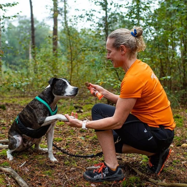 January  - Ludlow Beginners Canicross Course - 9 am Sunday Morning