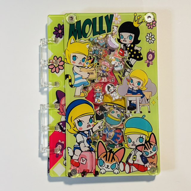 Acrylic character shaker notebook