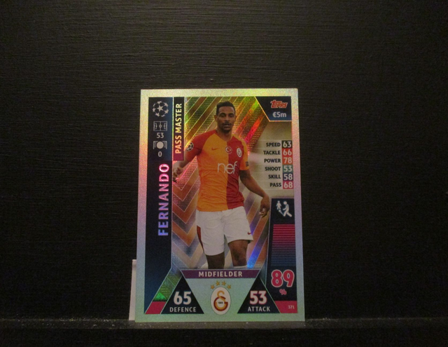 FERNANDO - UEFA Champions League Match Attax 2018/19 Original Trading Card #371