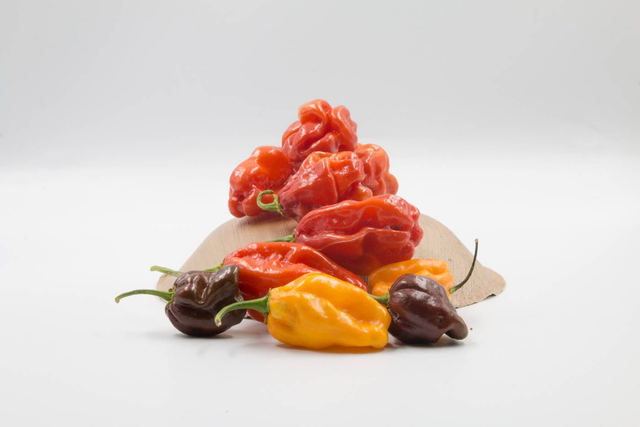 Pickles piments seuls