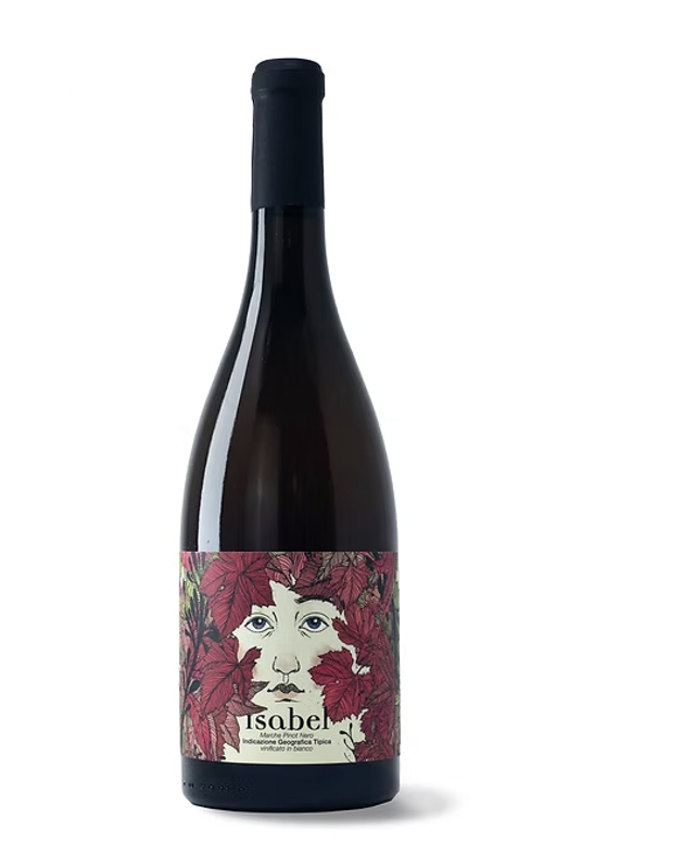 Isabel - Marche Pinot nero vinificato in bianco I.G.T.