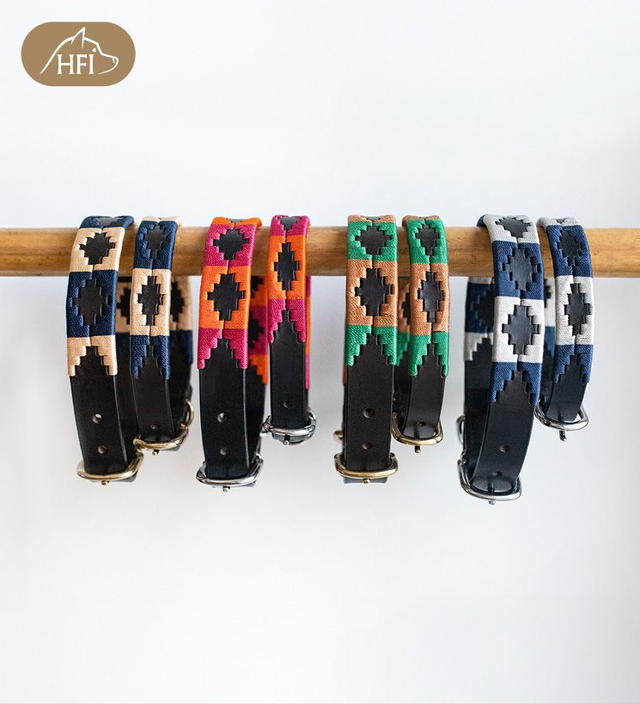 Collier pour chien HFI Polo