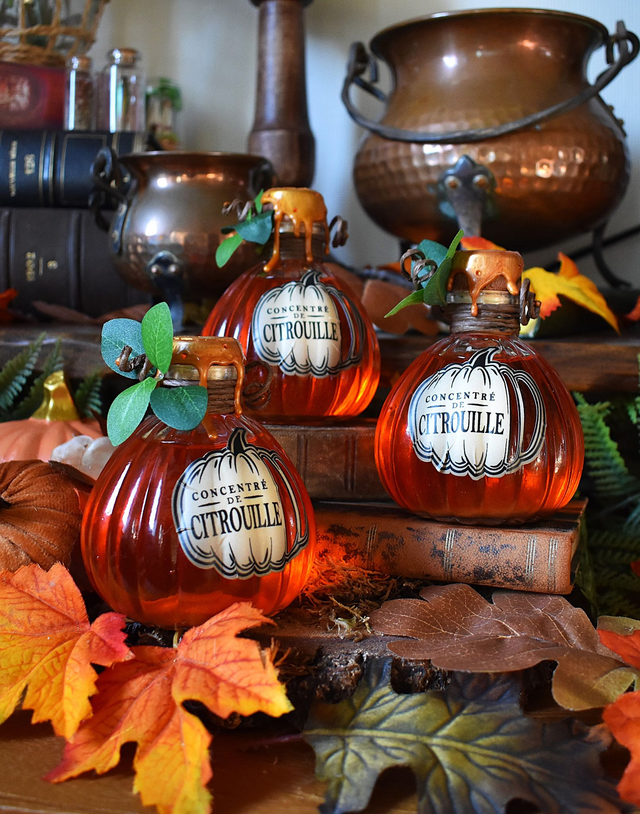 Concentré de Citrouille