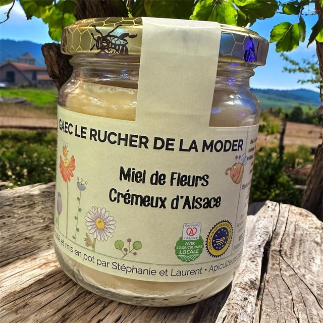 Miel de fleurs crémeux d'Alsace  -  Le rucher de la moder 