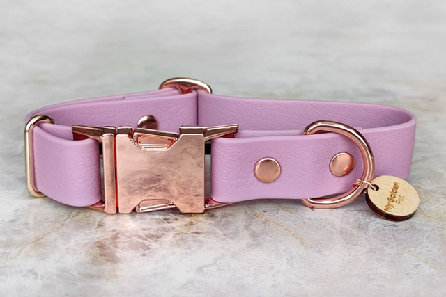 Lilac Lavender Collar