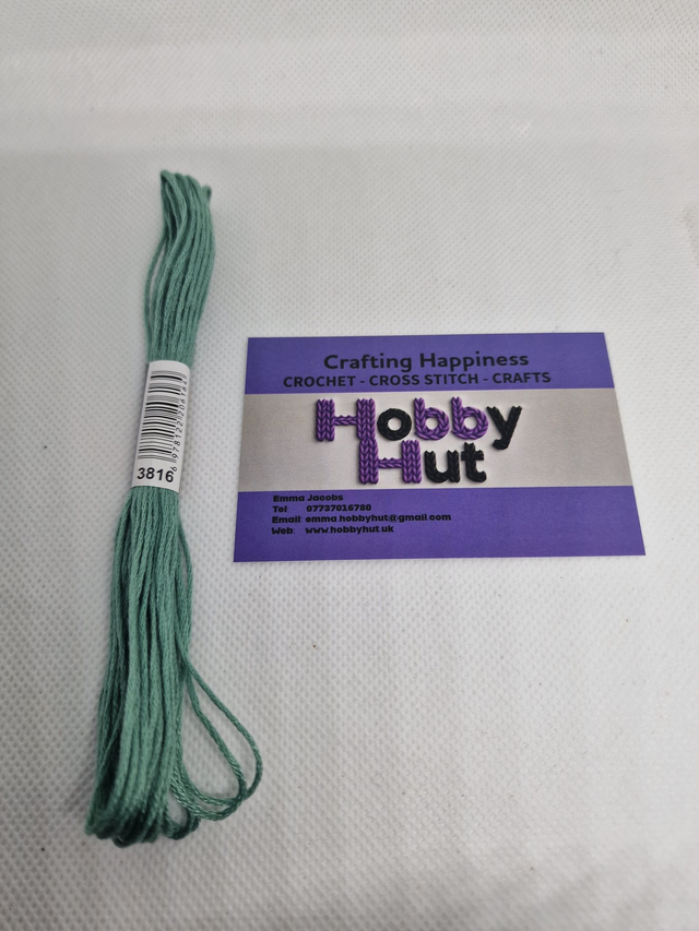 Embroidery Thread - 3816