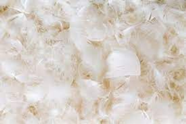 Guanciale La natura PIUMA EXTRA