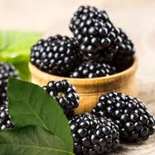 Blackberry &amp; Bay