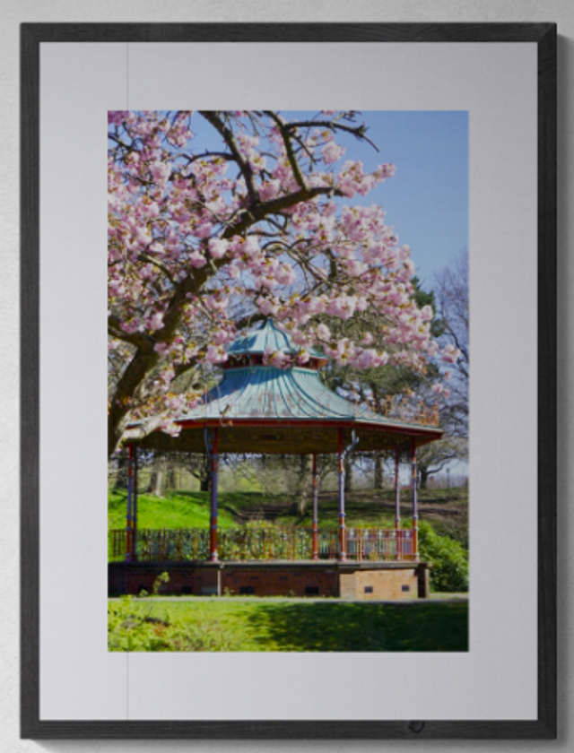 Bandstand is blooming - Print