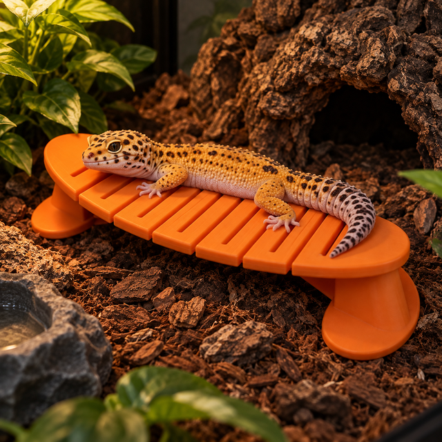 🦎 Leżanka dla gadów – Reptile Lounge