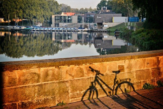 Fahrradschatten am Aasee