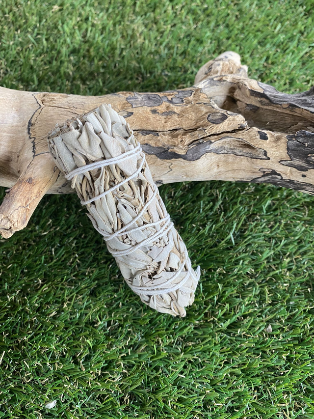 Sauge Blanche pour fumigation 25 à 35g 