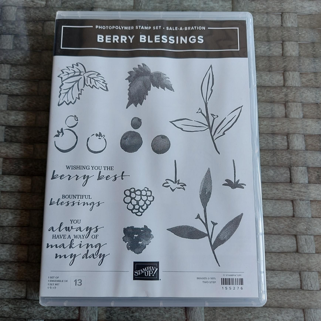 Berry Blessings stamp set (never used) 