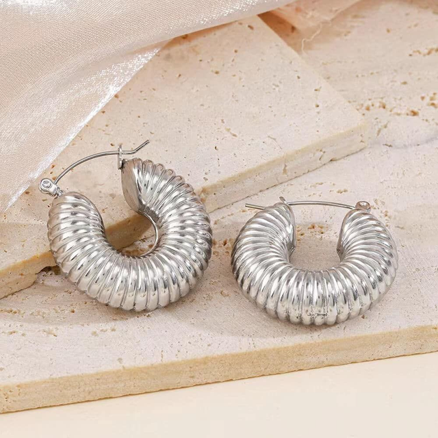Silver Posh Earrings