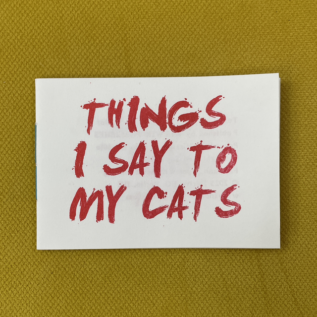 Things I say to my cats