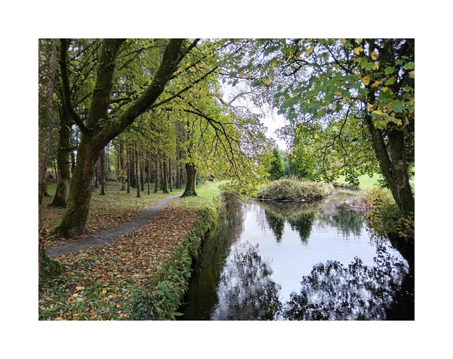 The Island, The Demense, Castlerea, County Roscommon. 5" x 7 " Blank Greeting card with envelope. includes postage to all of Ireland.

