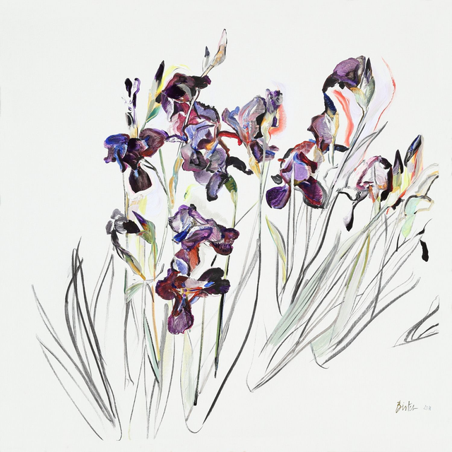 Les Iris Violets 80X80cm