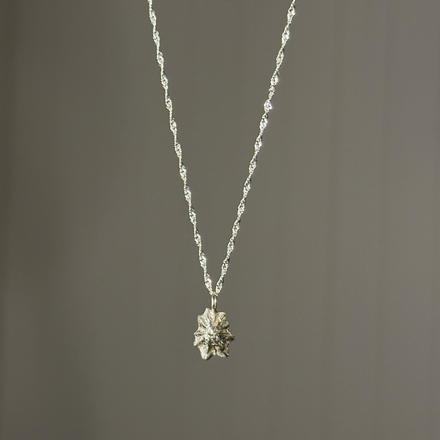 Limpet Shell Necklace