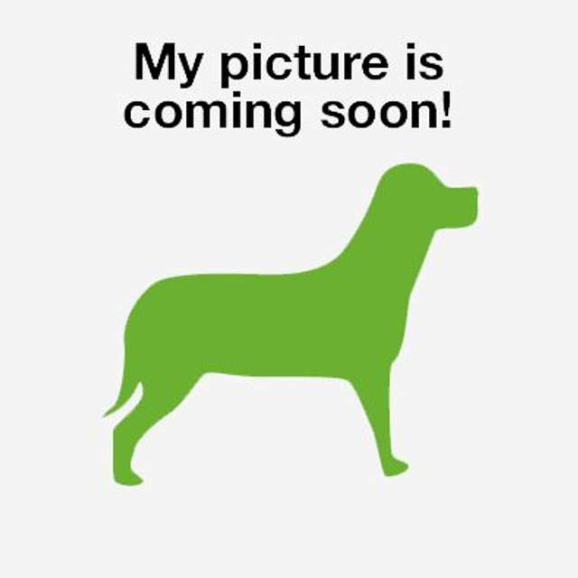 Veal Complete 80/10/10 Mince 