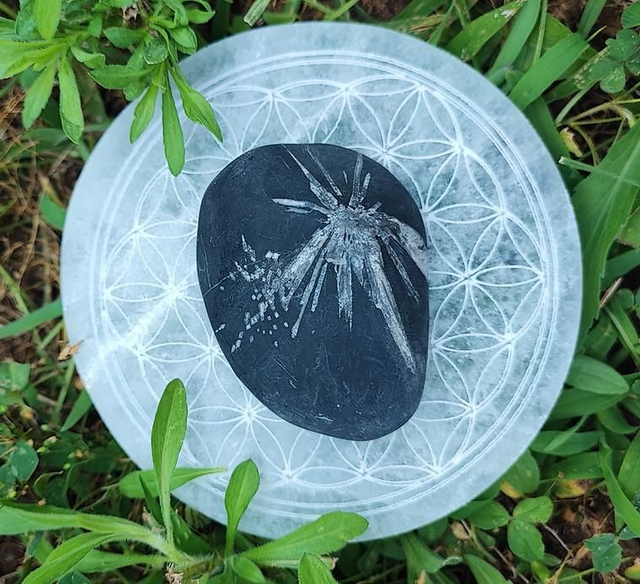 Galet Chrysanthème 60mm