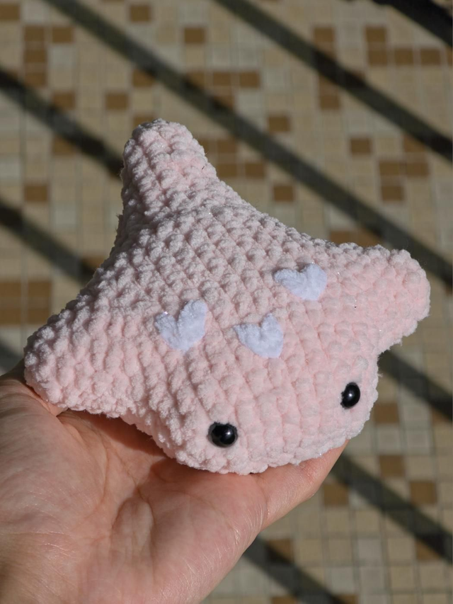 Raie Manta St Valentin