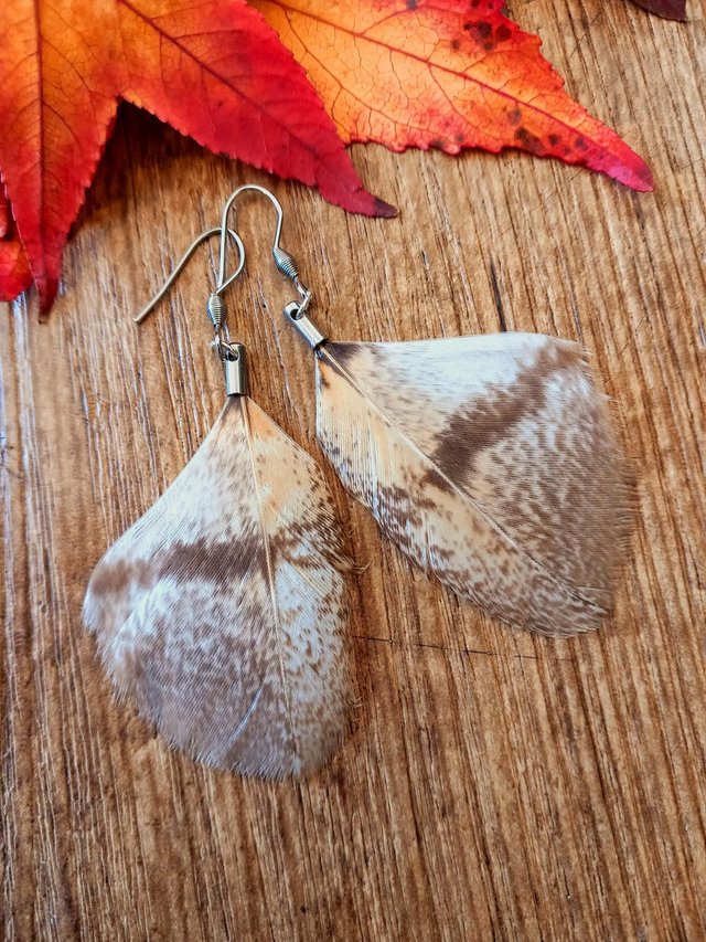 Boucles d&#039;oreilles chouette