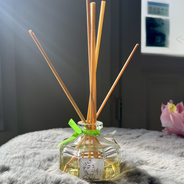 Diffuseur d’ambiance 