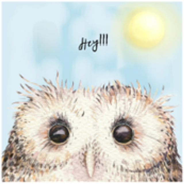 Hand made Cards - Life's a hoot