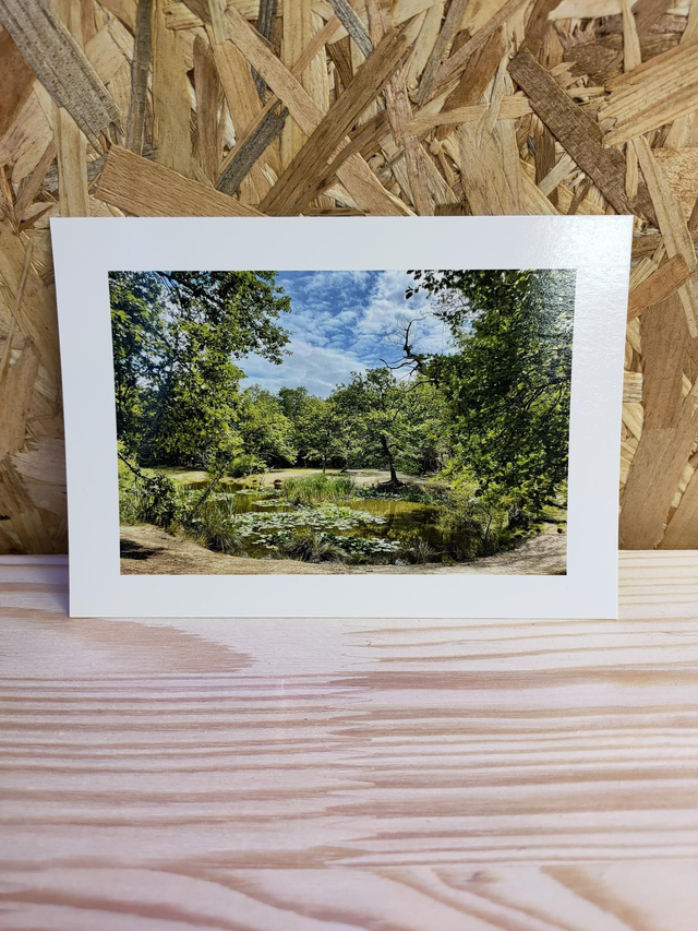 INNSA_WEB004 CARTE POSTALE Évreux la mare aux biches