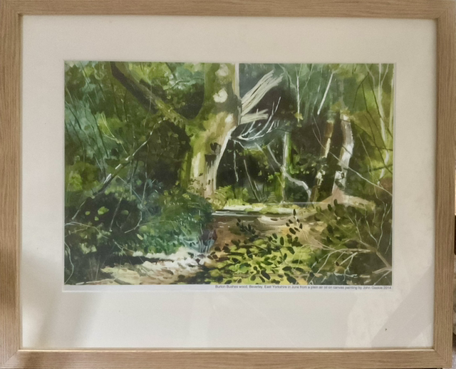 Burton Bushes woodland, Beverley. Framed A3 print from my Burton Bushes exhibition.