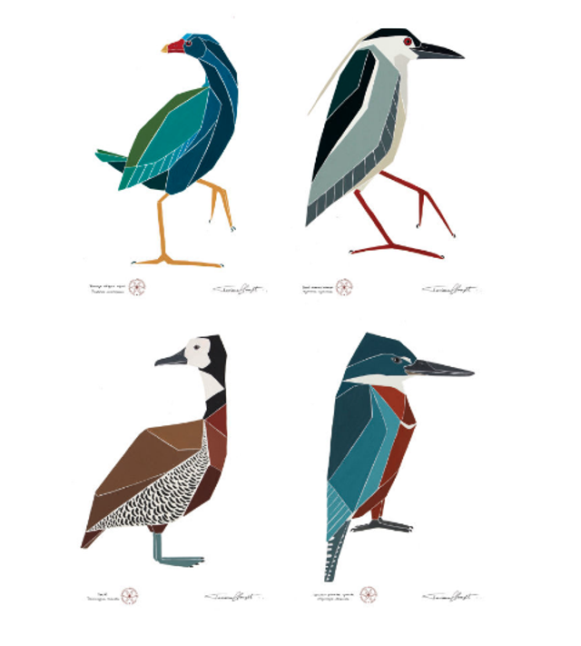 Conjunto de reproduções "AVES BRASILEIRAS - SÉRIE 3"