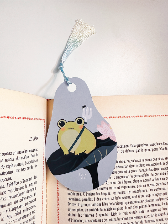 Marque page à pompom - froggy
