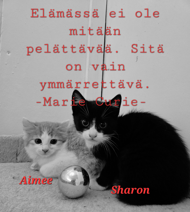 Elämässä ei ole mitään pelättävää- digitaalinen kortti