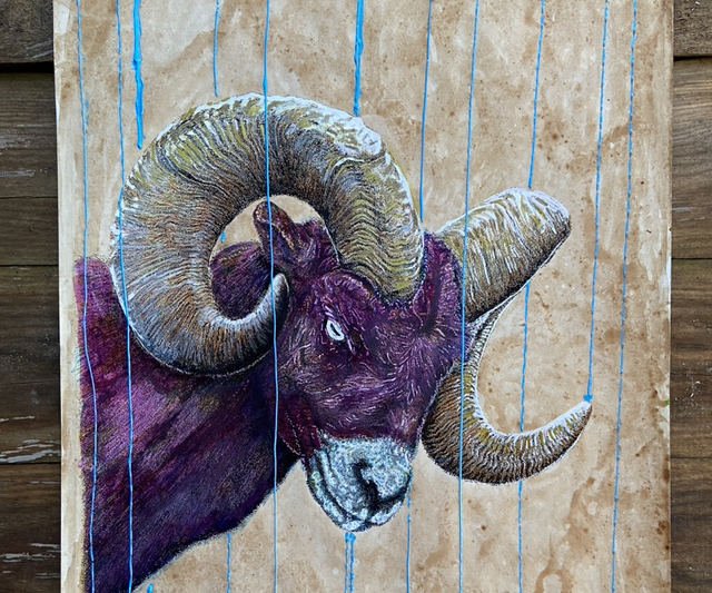 Raining with an Aries 