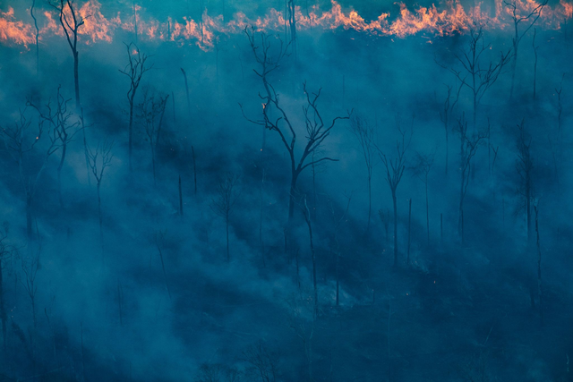 Victor Moriyama's "Blue Destruction, 2019, Printed in 2021 ⅛ series"