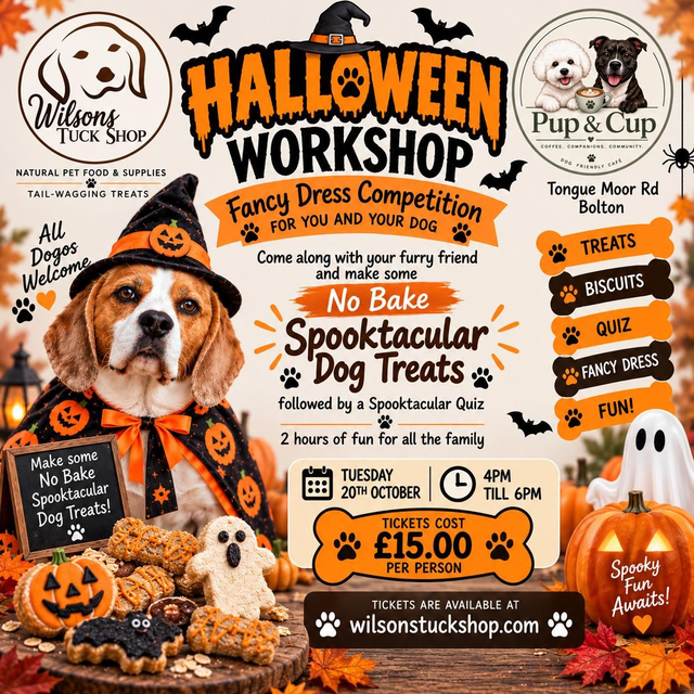 Halloween Workshop At Pup & Cup Tuesday 20th October