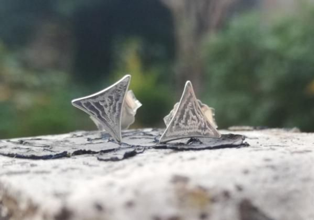 Boucles d'oreille Ascension 