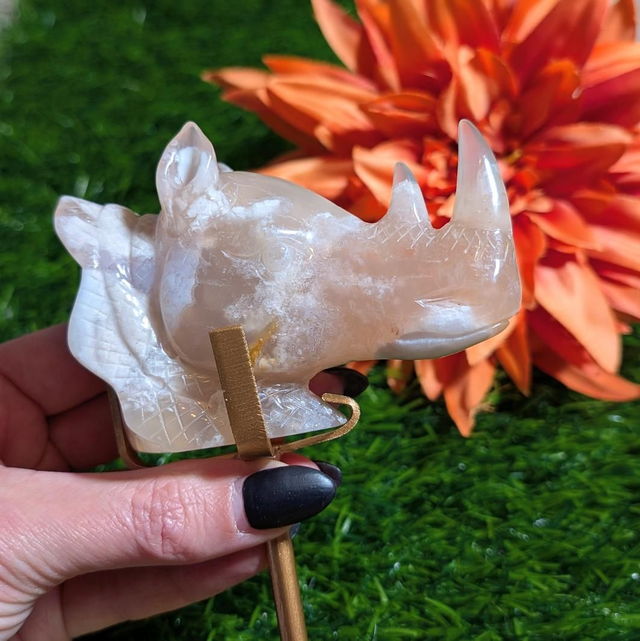 Flower Agate Rhino 🦏 Carving 