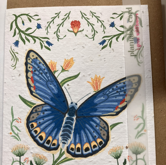 Seed Card Blank Butterfly 