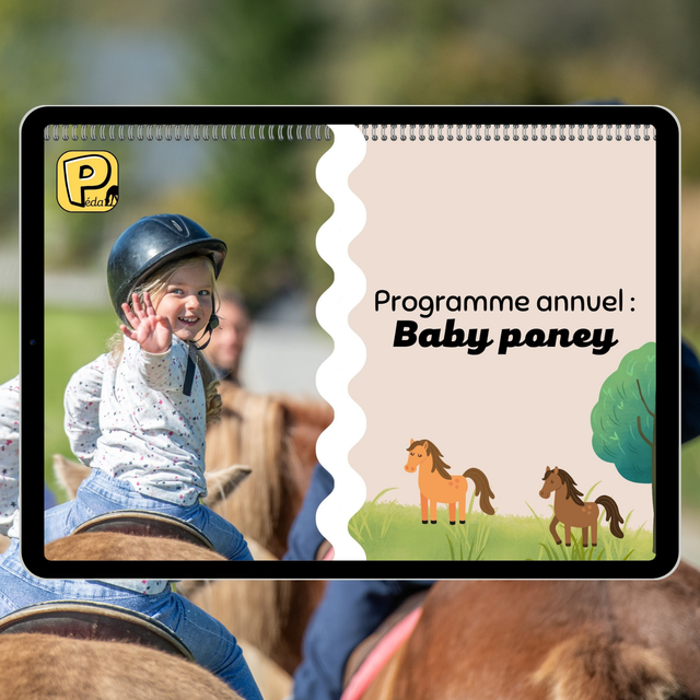 Programme annuel Baby poney 