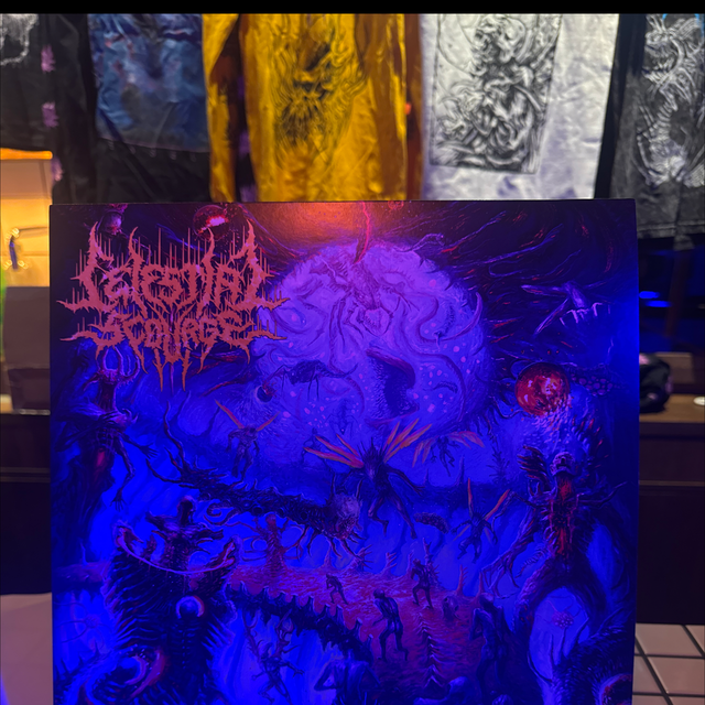 Vinyl - Observers Of The Inevitable