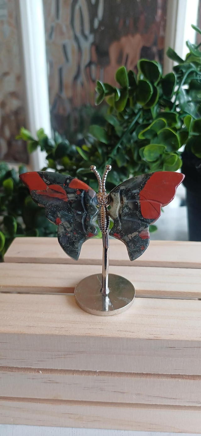 African Bloodstone Butterfly Wings on Silver Stand