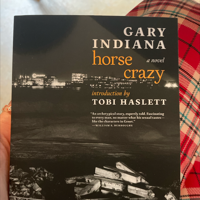 Horse Crazy Gary Indiana