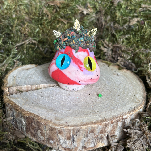 Champignon 37