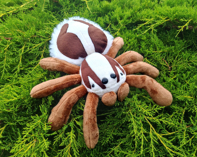 Pantropical Jumping Spider Plush